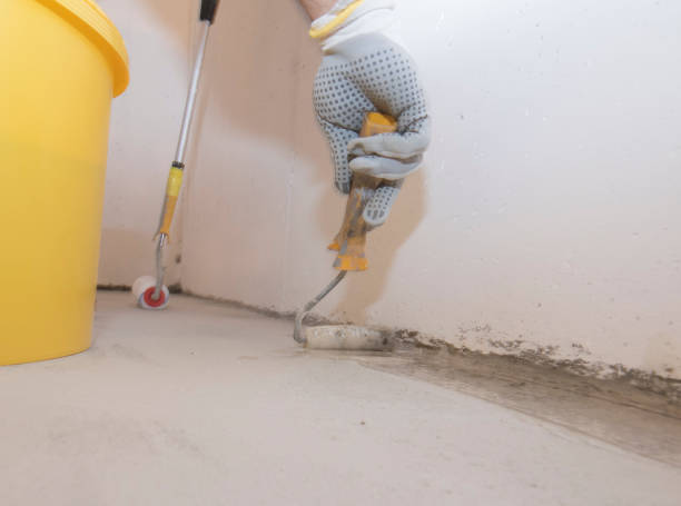 Best Pest Control for Multi-Family Homes  in Basalt, CO